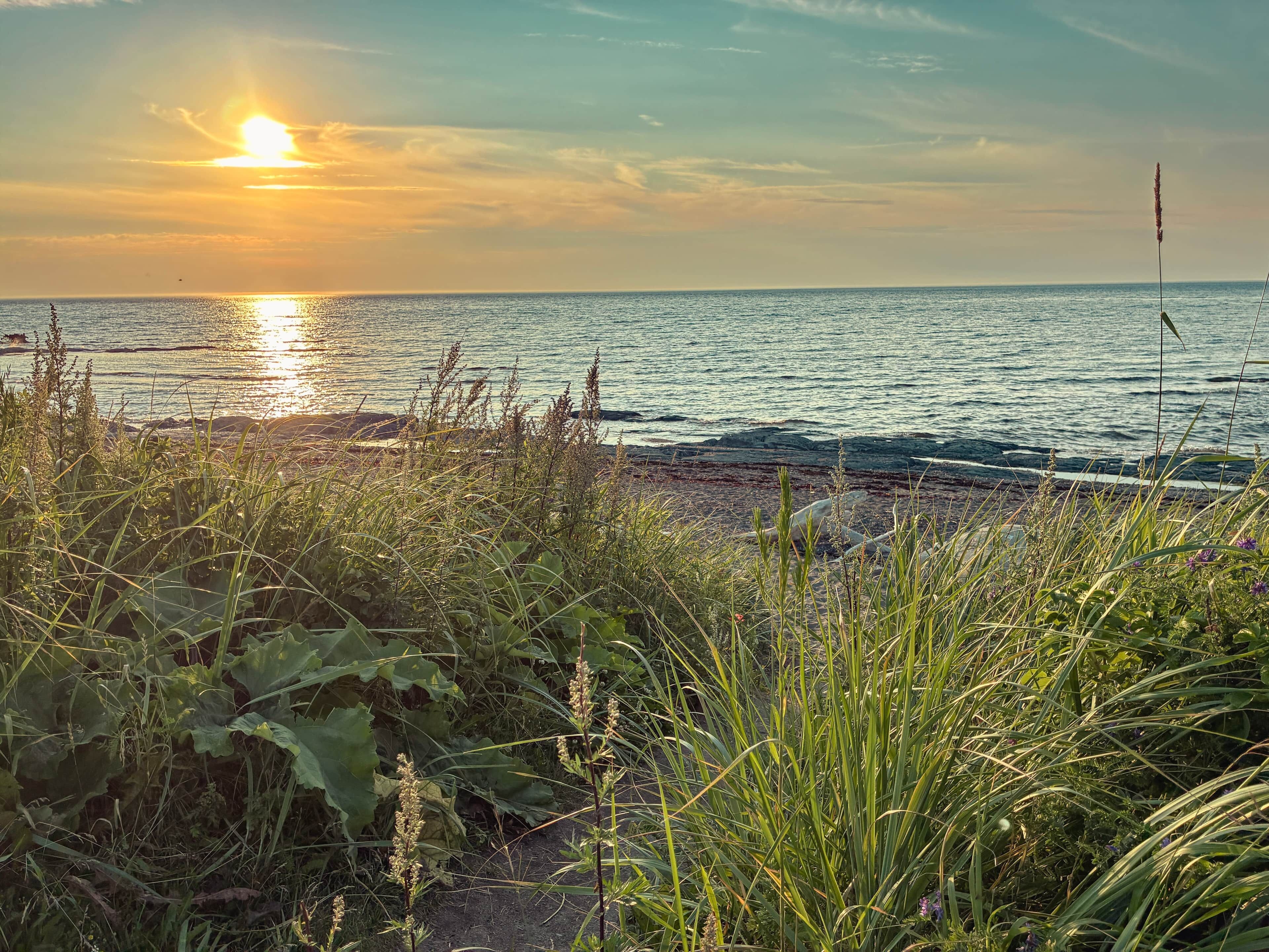 Un paysage côtier avec une végétation au premier plan et une vue sur la mer au coucher du soleil.