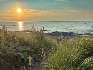 A coastal landscape with vegetation in the foreground and a view of the sea during sunset.