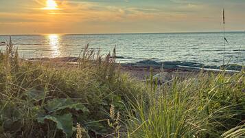 A coastal landscape with vegetation in the foreground and a view of the sea during sunset.