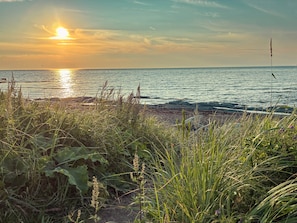 A coastal landscape with vegetation in the foreground and a view of the sea during sunset.