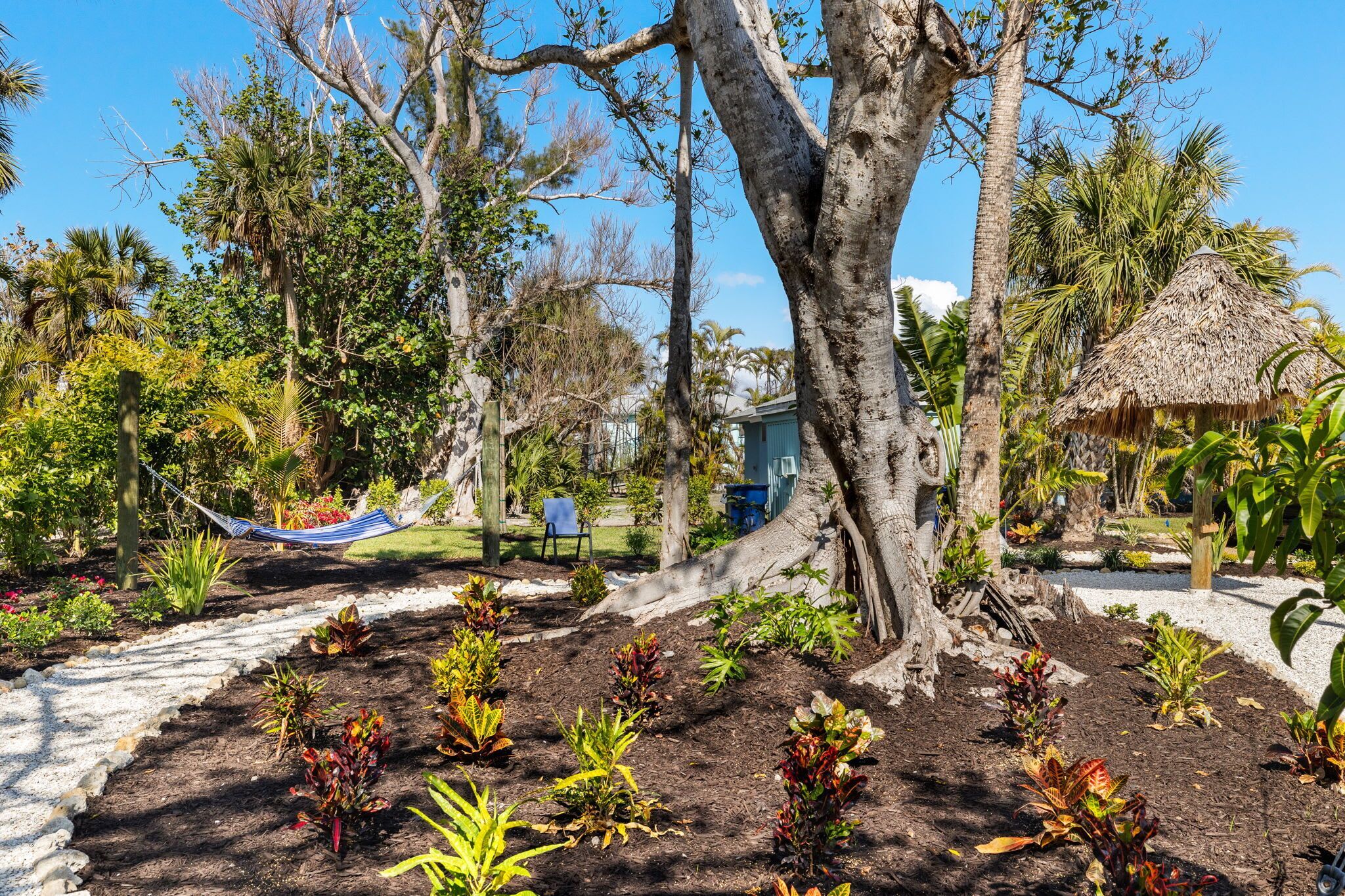 Un jardín con una hamaca, una estructura de techo de paja y diversas plantas.