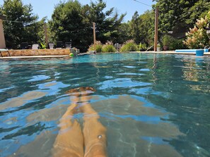 A swimming pool with clear water, surrounded by greenery and outdoor furniture. - 6 Beds 5,000 SqFt Country Retreat: Sleeps the Whole Family w/ Resort Pool & Spa (Mohnton)