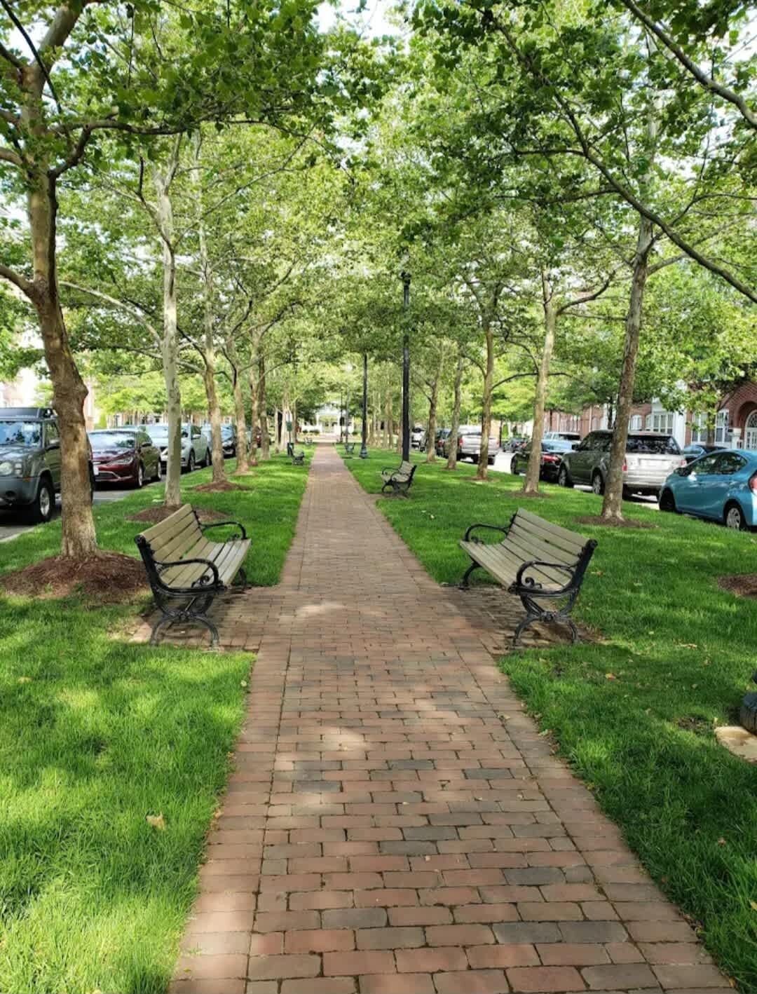 A paved pathway flanked by benches and trees, leading to a distant view.