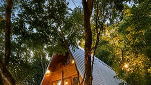 A wooden cabin with a sloped roof, surrounded by trees and a grassy area.