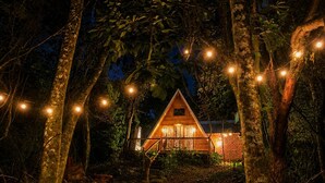 A wooden cabin surrounded by trees with string lights.