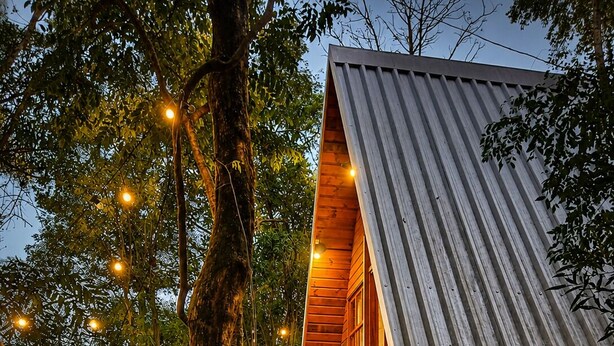 A wooden cabin with a metal roof, surrounded by trees and string lights.