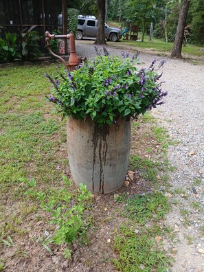 A large planter with green foliage and purple flowers, placed on a gravel path with grass around it.