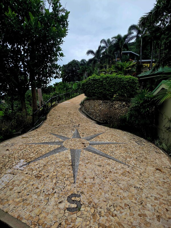 Um caminho pavimentado com desenho de bússola, cercado por vegetação exuberante e um muro de pedra.