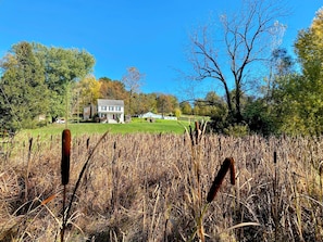 A house with a lawn and trees in the background.