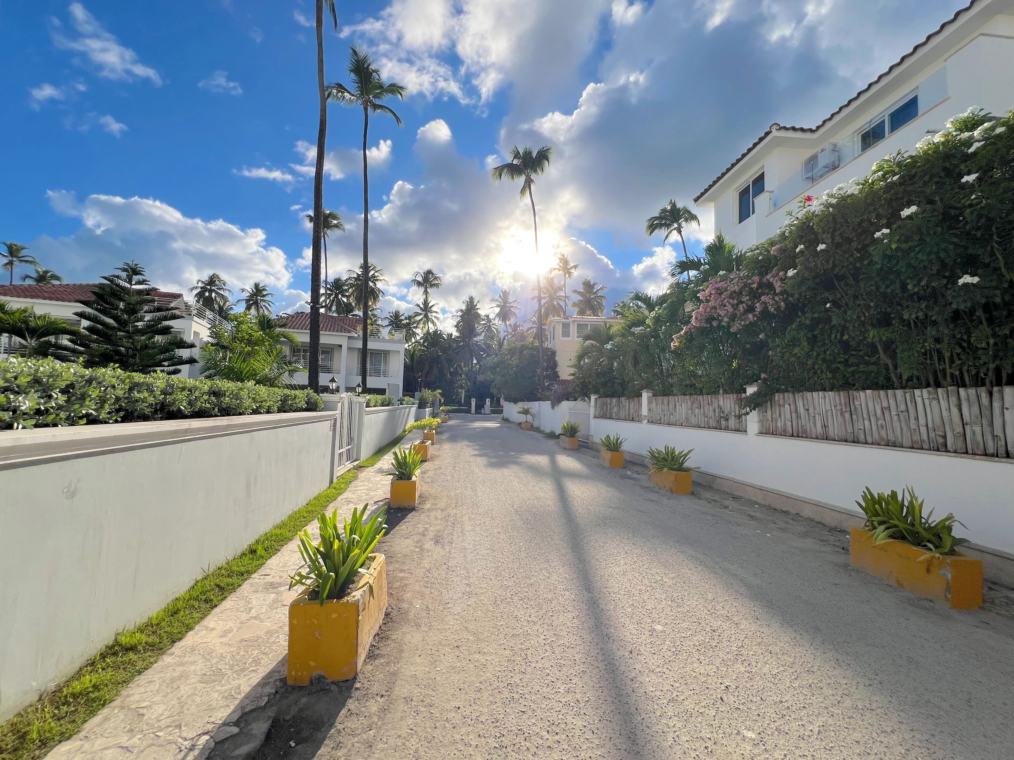A residential street with houses, palm trees, and potted plants.