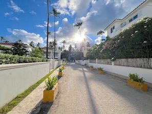 A residential street with houses, palm trees, and potted plants.