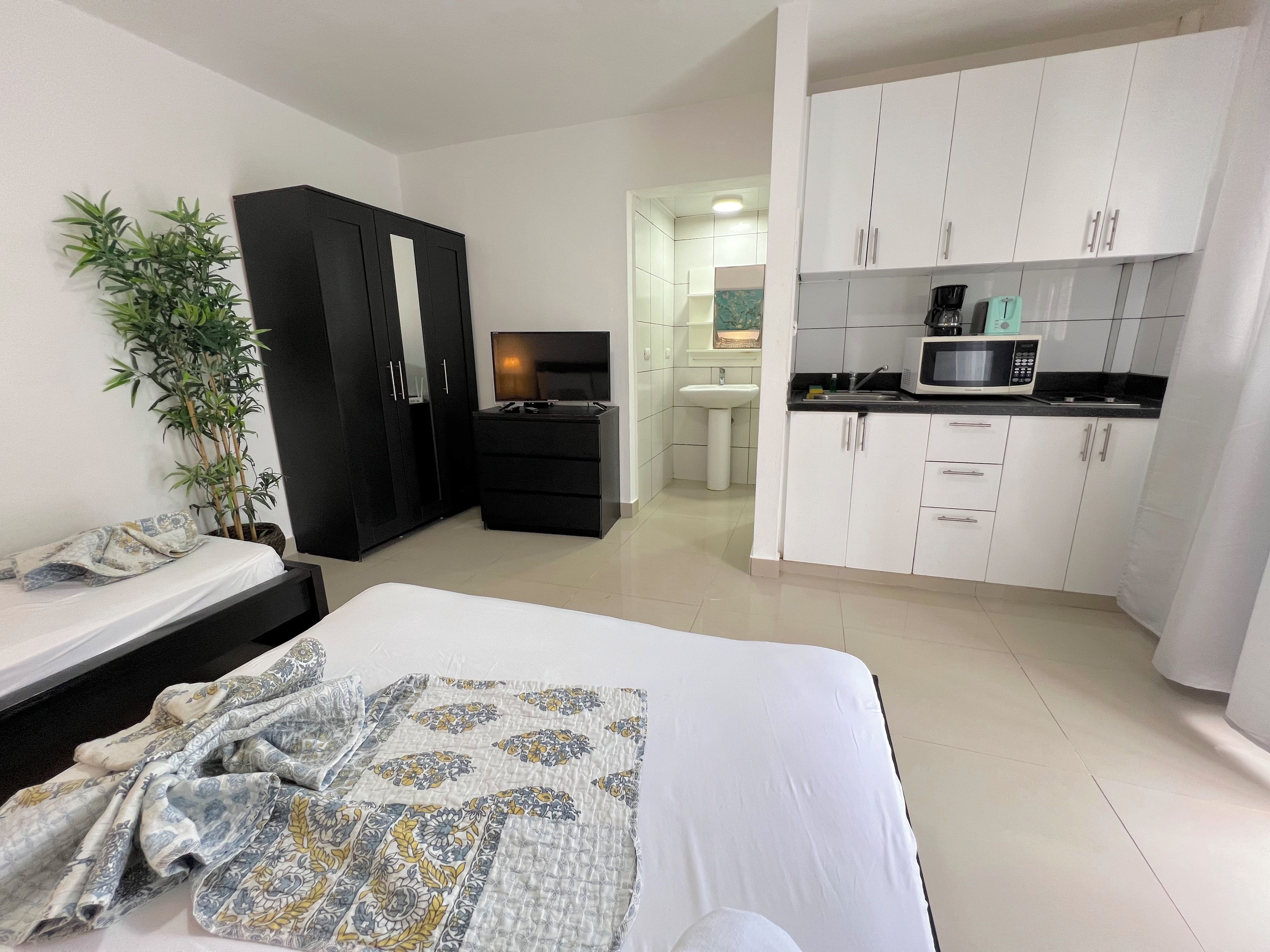 Ein Schlafzimmer mit Bett, Fernseher, Kleiderschrank, Schreibtisch, Spüle und einer Mikrowelle in der angrenzenden Küchenzeile.