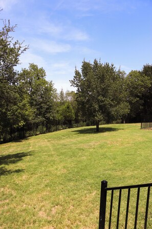 A grassy field with trees and a black metal fence.