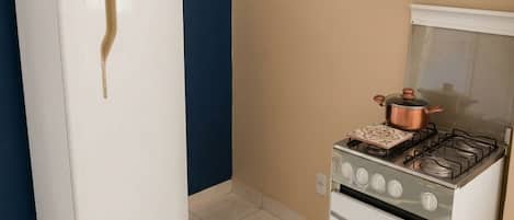 A kitchen with a white refrigerator, a stove, and a shelf with a bottle and a plant.