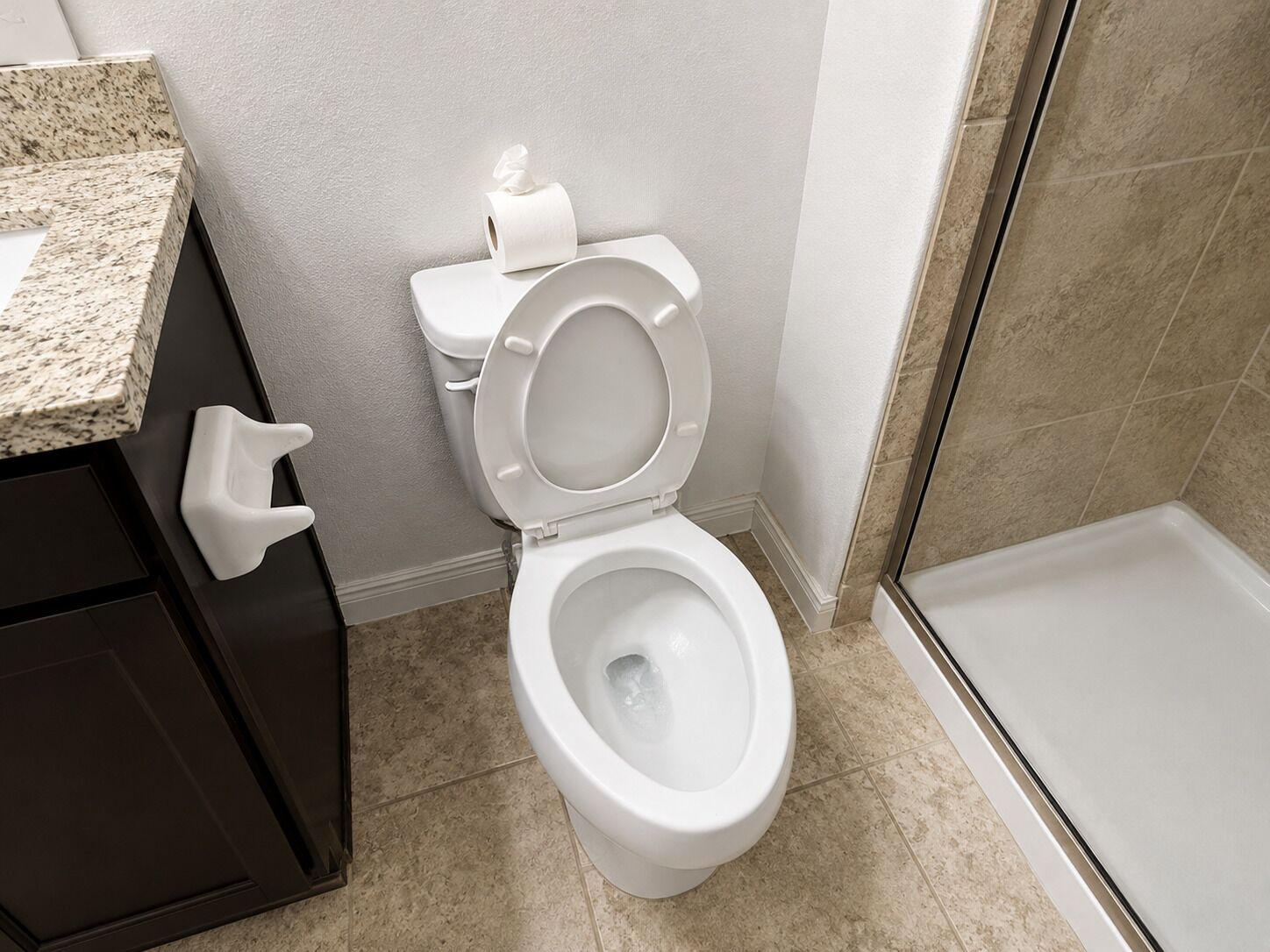 A bathroom with a toilet, a roll of toilet paper, a shower area, and a granite countertop.