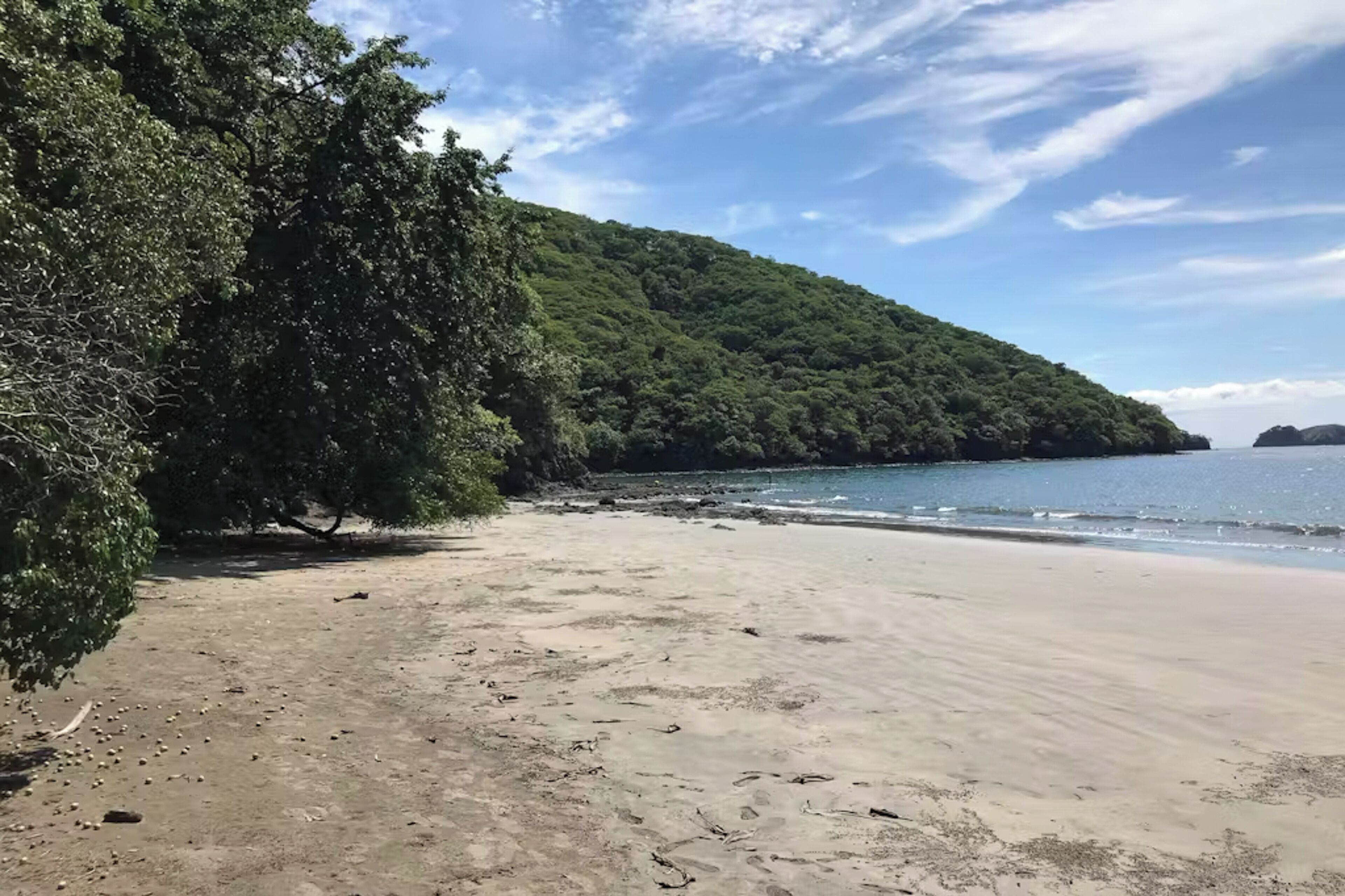Une plage avec un rivage sablonneux, une colline verdoyante et densément boisée, et une eau calme.