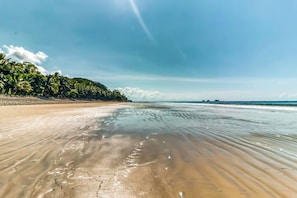 A beach with clear water, a sandy shore, and a line of palm trees under a blue sky.