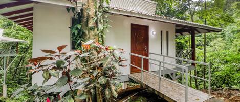 A small building with a staircase leading to a door, surrounded by dense greenery.