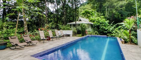 Ein rechteckiger Pool mit gefliesten Rändern, umgeben von Liegestühlen und Topfpflanzen, mit einem Gebäude im Hintergrund.
