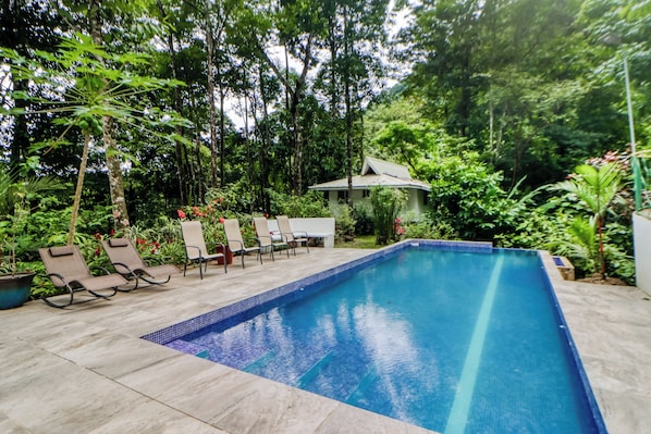 A rectangular pool with tiled edges, surrounded by lounge chairs and potted plants, with a building in the background.