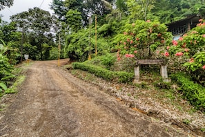 A rural dirt road flanked by lush greenery and a signpost.