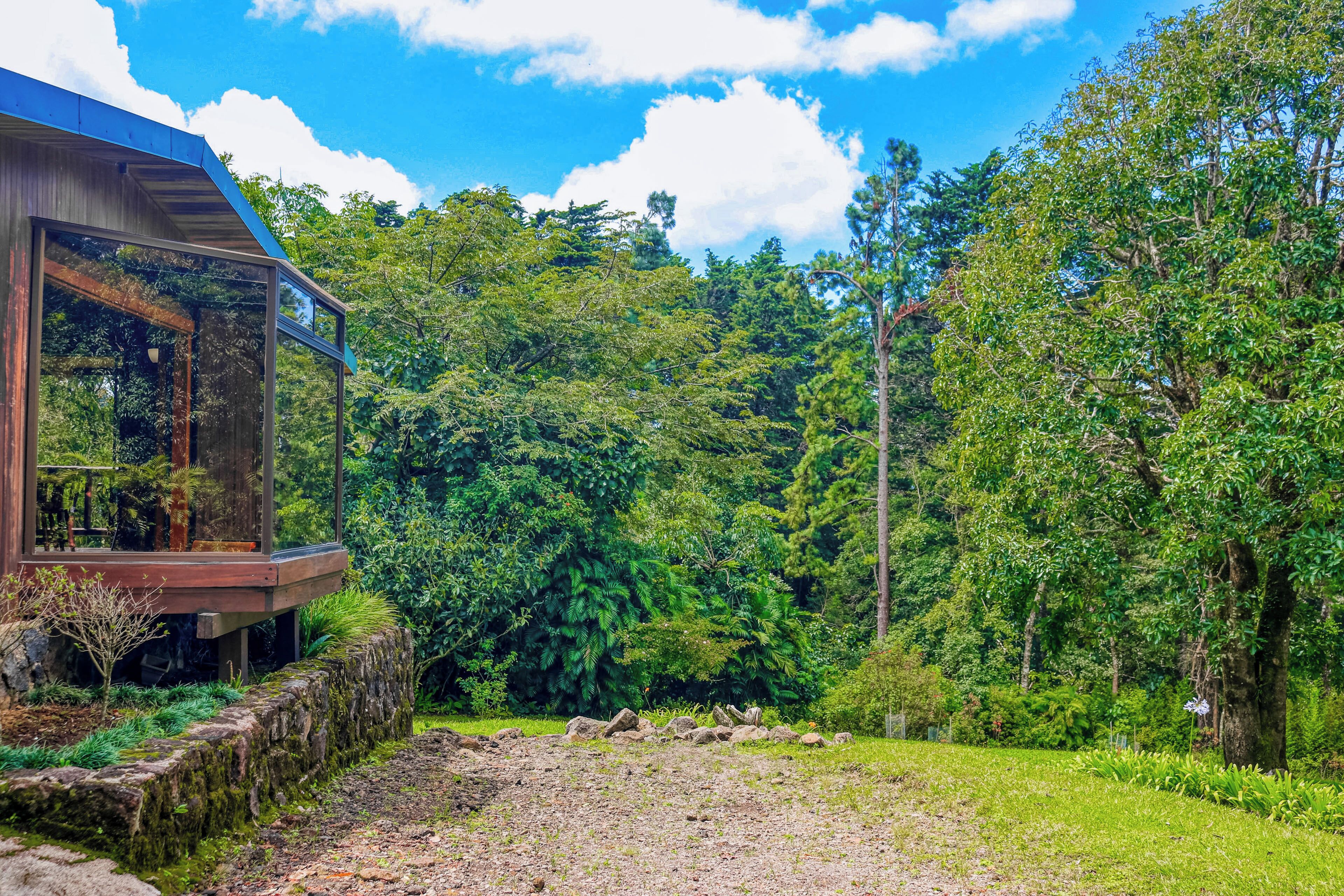 A modern building with a glass facade, surrounded by dense forest.