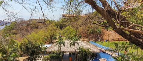 A pool area with a thatched-roof structure, surrounded by palm trees and a view of a distant building.