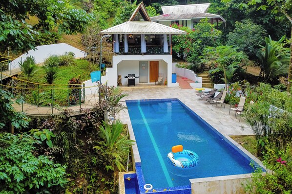 Une piscine avec un espace de détente, entourée d’une végétation luxuriante, et une maison dotée d’un toit original.