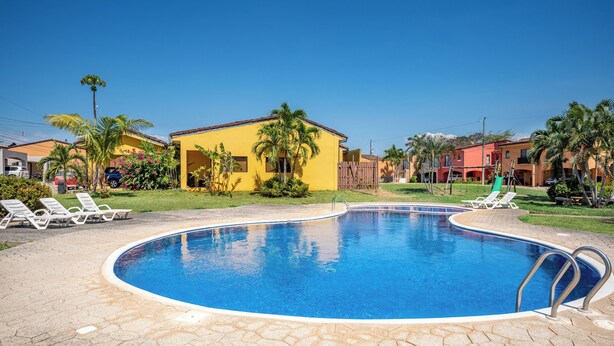 Piscina com borda curva, cercada por espreguiçadeiras e palmeiras, com edifícios ao fundo.