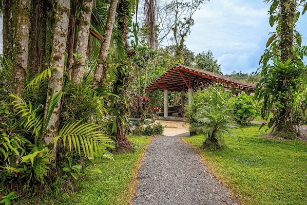 A pathway leading to a covered structure surrounded by lush greenery and trees.