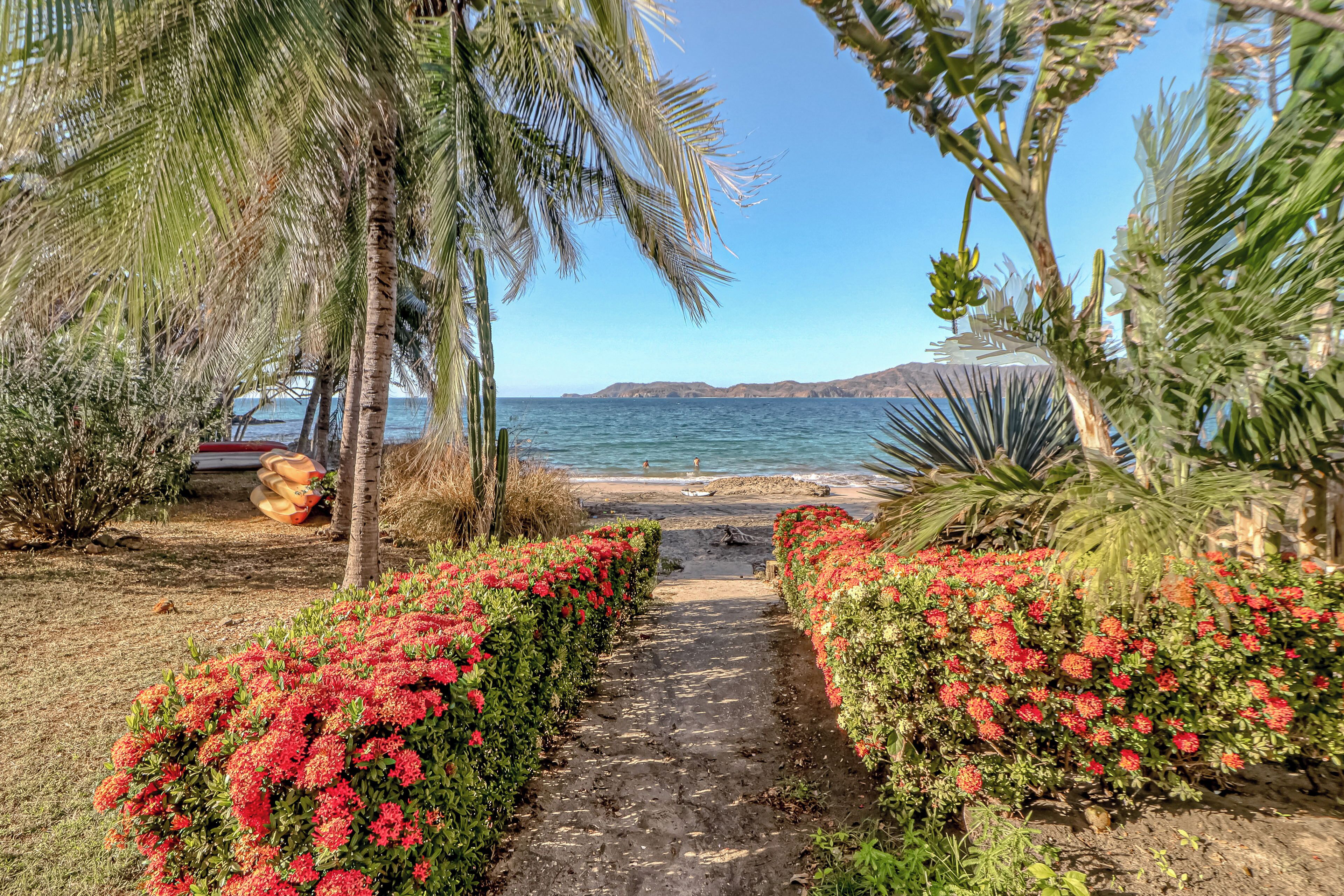 Un sendero lleva a una playa con palmeras y flores rojas.