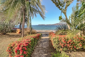 Een pad dat naar een strand leidt, met palmbomen en rode bloemen.