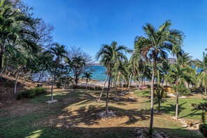 A tropical landscape with palm trees and a beach. - Ideal 2BR Oceanfront 2nd-Floor | Balcony (Flamingo Beach)