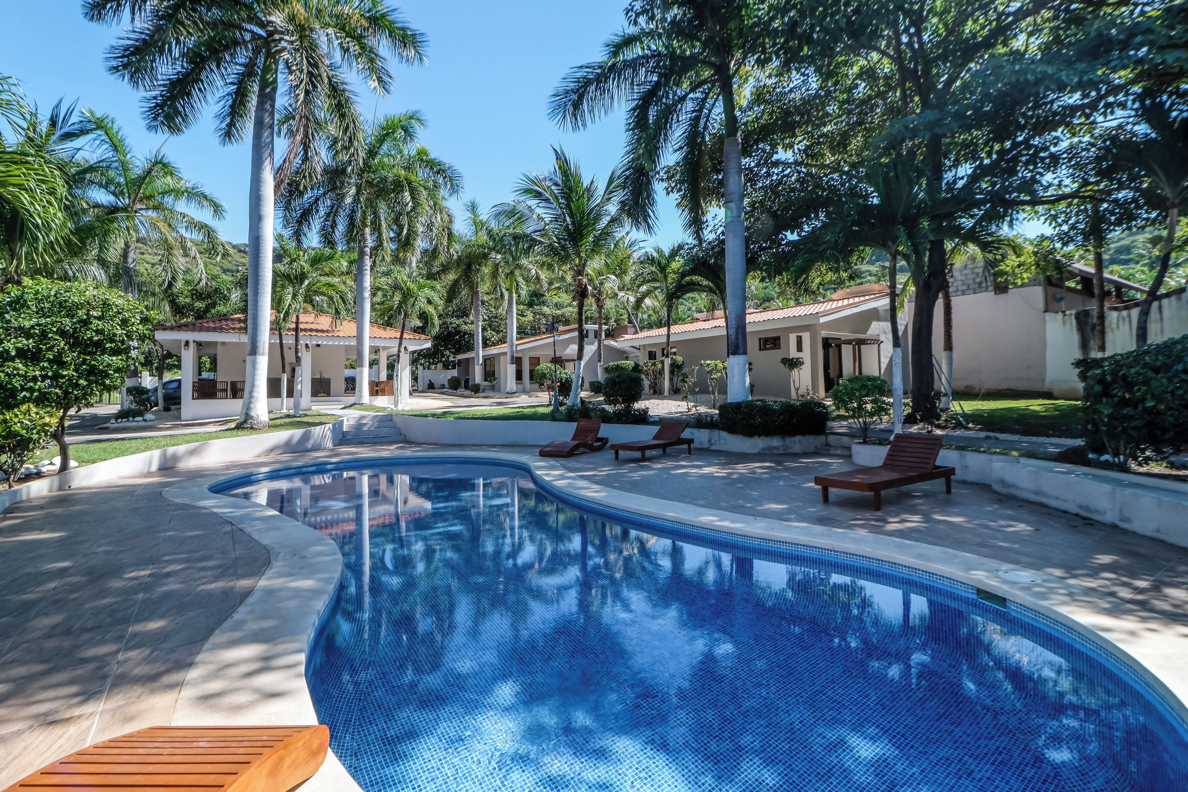 A swimming pool with lounge chairs and palm trees.