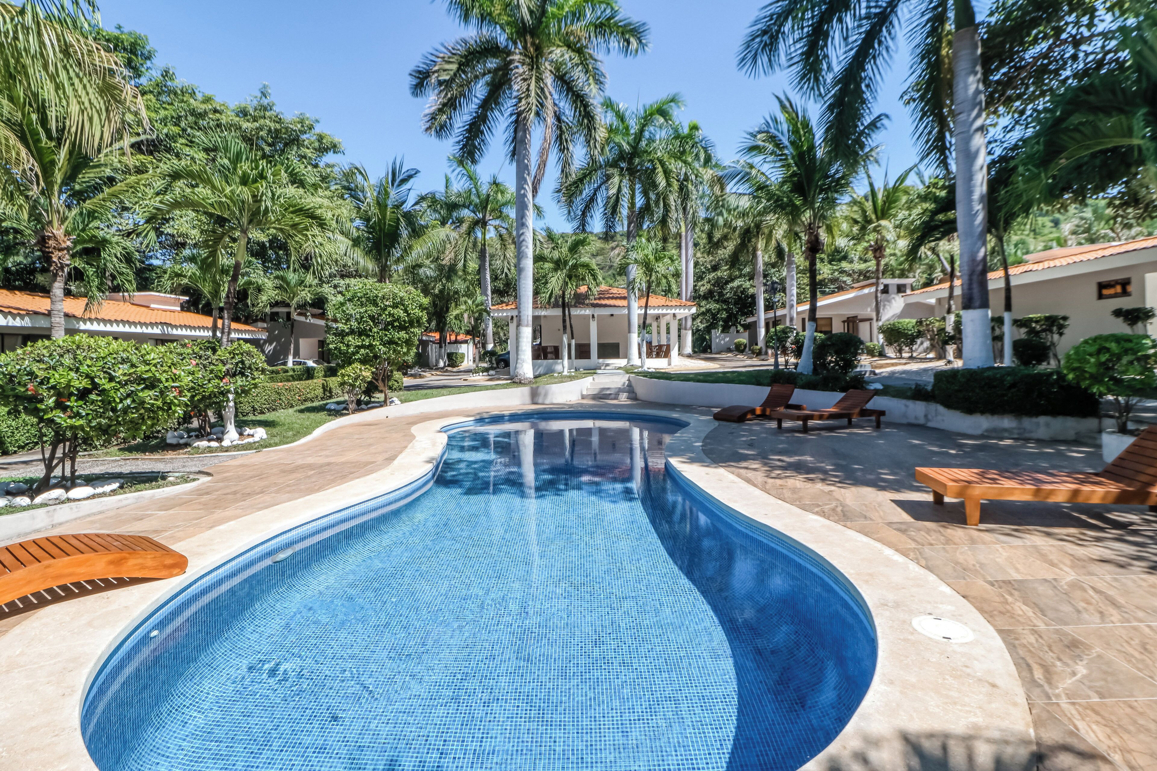 A swimming pool with a tiled edge, surrounded by palm trees and lounge chairs.