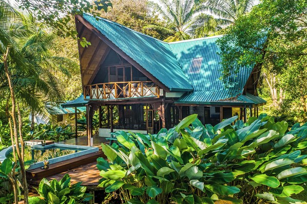 Une maison en bois, dotée d’un toit en pente, est entourée d’une végétation luxuriante.