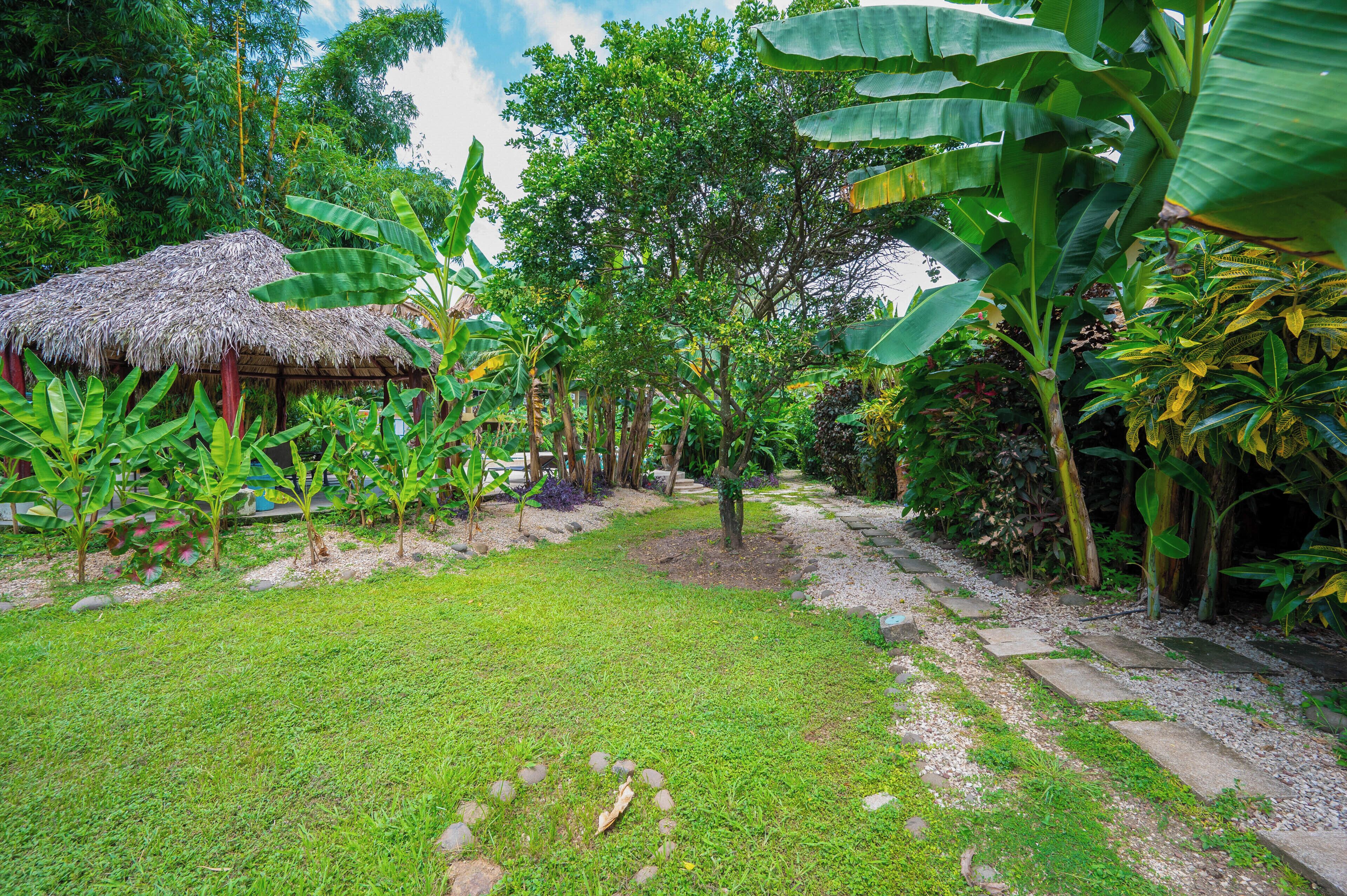 A lush garden with a thatched-roof structure, a variety of tropical plants, and a gravel path.