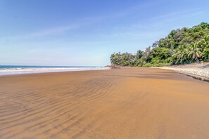 A beach with a sandy shore and a line of trees. - 'Casita Ballenato' w/ Beach Access & Ocean View (Uvita)