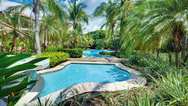 Piscina rodeada por palmeiras e vegetação exuberante.