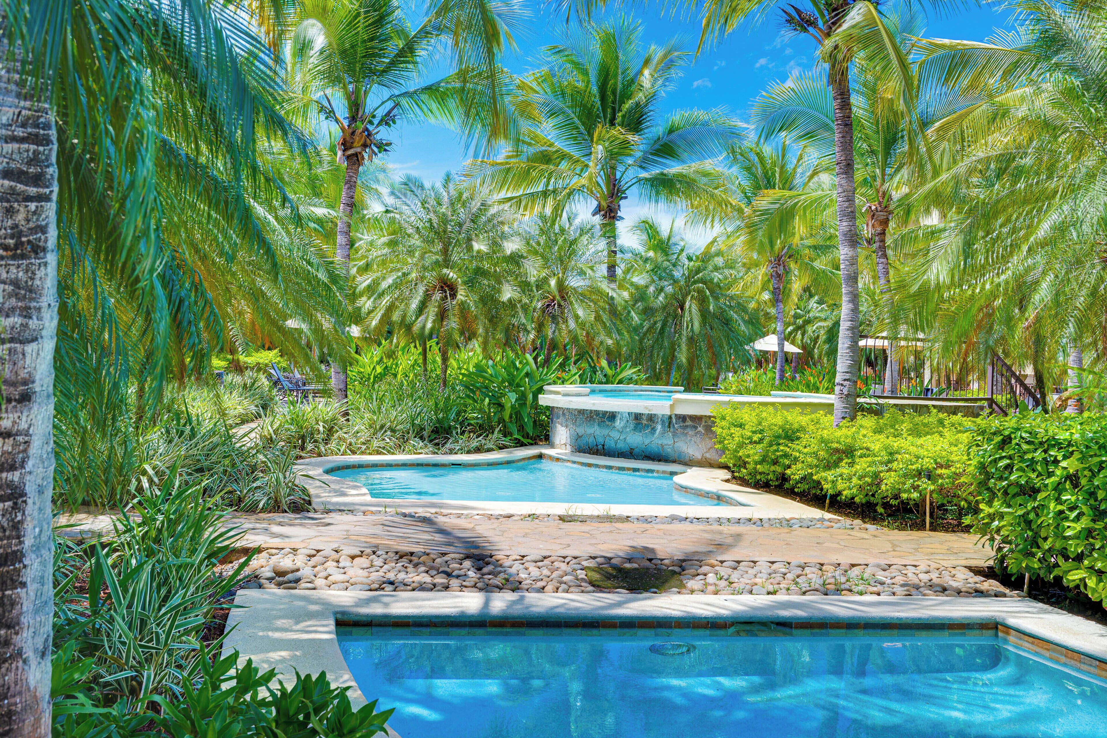 A pool area with palm trees and a stone pathway.