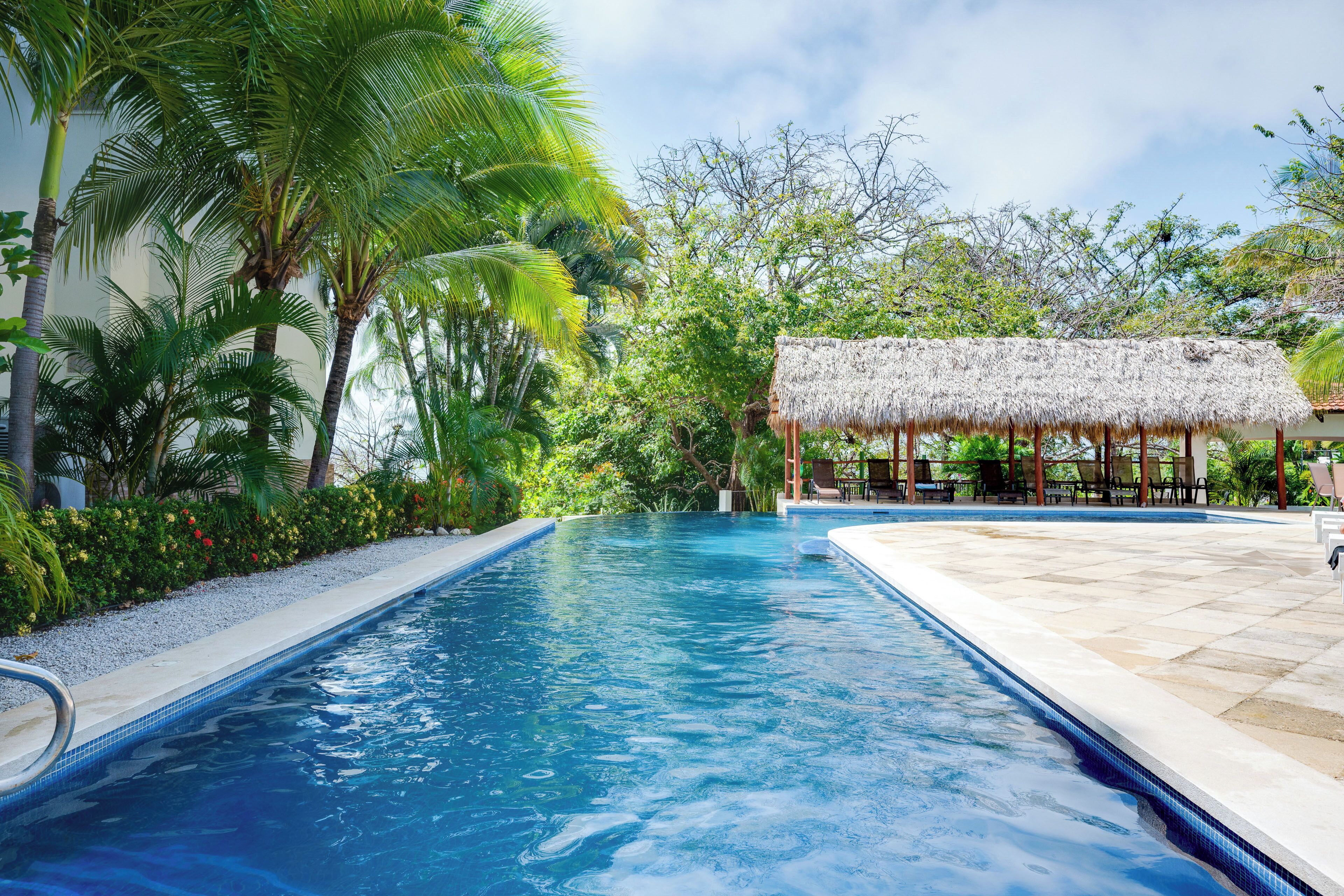 A swimming pool with a thatched-roof structure and lounge chairs in the background.
