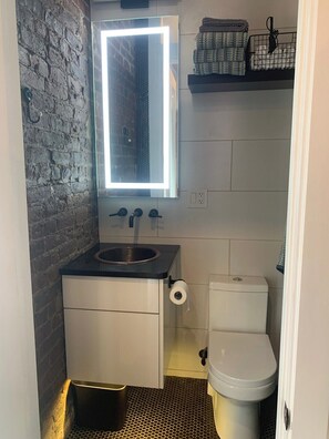 A compact bathroom with a built-in sink, a toilet, and a mirror with a light. - Main Street Luxury in Heart of Telluride | Walk to Gondola and Explore Town (Telluride)