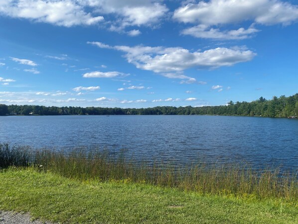 Ein See mit einer grasbewachsenen Uferlinie und einem bewaldeten Hintergrund.