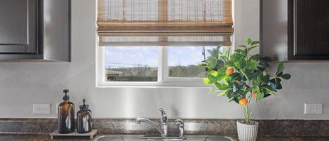 A kitchen with a double stainless steel sink, a window with blinds, and a potted plant with green leaves and orange fruits.
