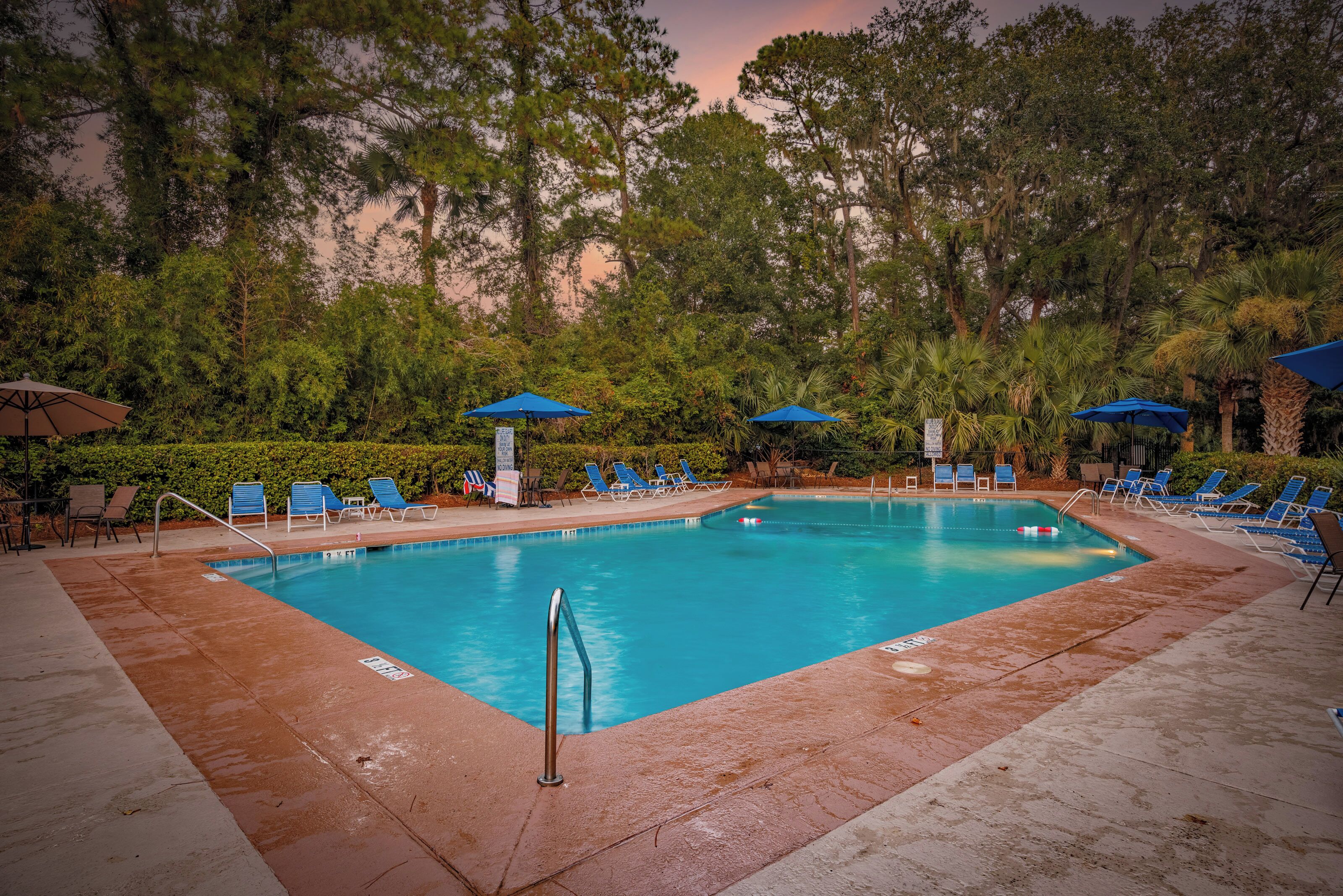 A rectangular swimming pool with blue water, surrounded by lounge chairs and umbrellas, set against a backdrop of trees and a sunset sky.