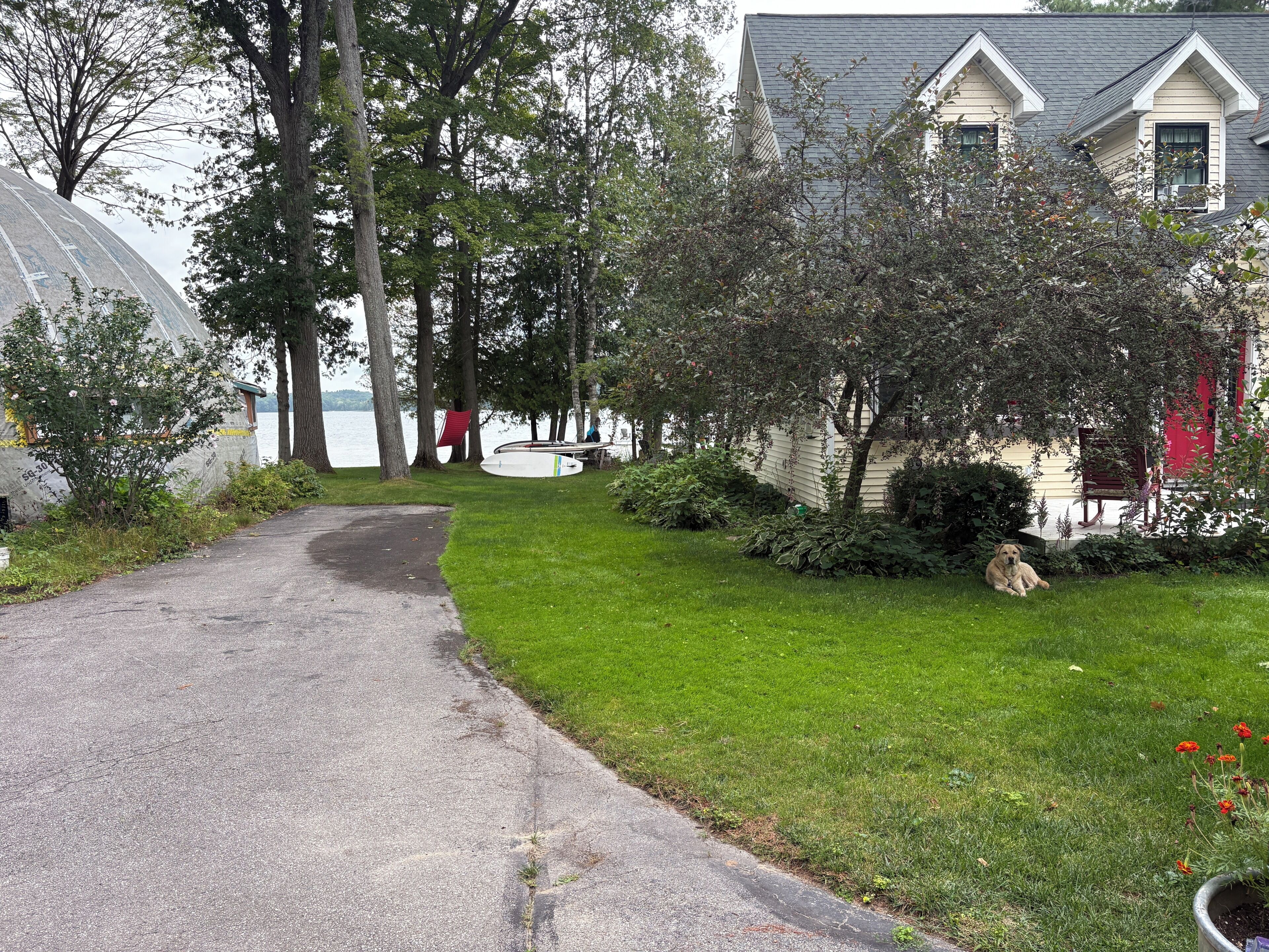 A residential area with a paved driveway leading to a house with a red door, surrounded by trees and a grassy lawn.