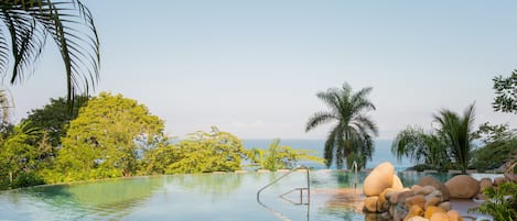 A clear pool with rocks and palm trees, surrounded by lush greenery and a view of the ocean.