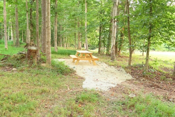 A picnic table in a forested area with a dirt path leading to it.
