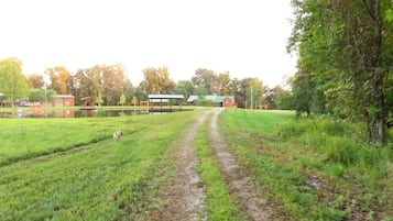 Un paysage rural avec un chemin de terre menant à une grange rouge.