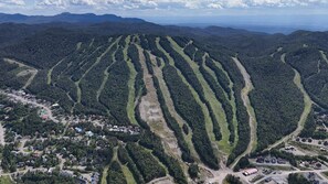 Vista aérea de um bairro residencial com uma floresta densa e uma estrada bem visível.